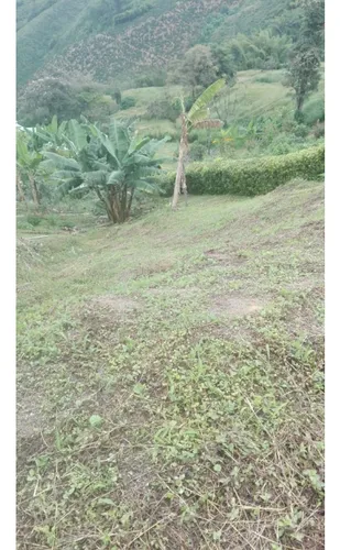Venta De Lote En Via La Plata - Cartagena
