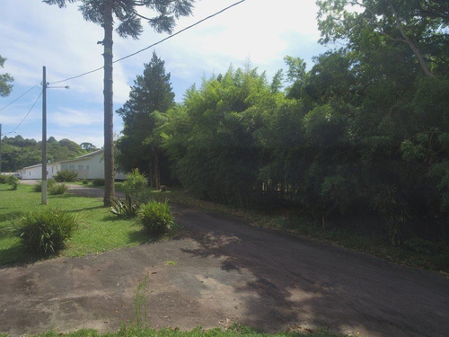 Imagem 3 de 30 de Chácara-fazenda-sítio À Venda Com 28723.3m² Por R$ 995.000,00 No Bairro Roça Velha - São José Dos Pinhais / Pr - Ch103