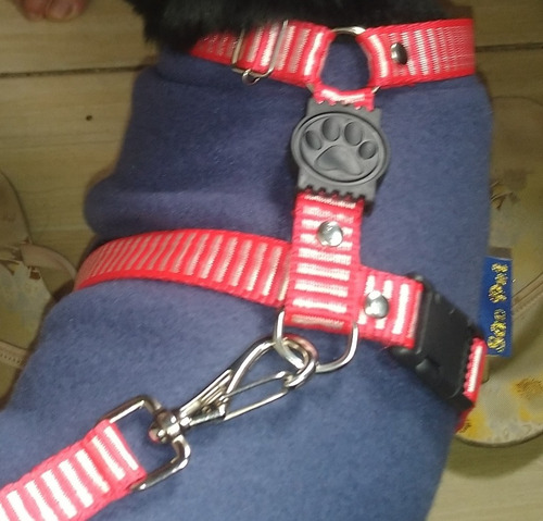 Imagem 3 de 5 de Encomende Peitorais Para Sua Pet,entrega Sem Custo.