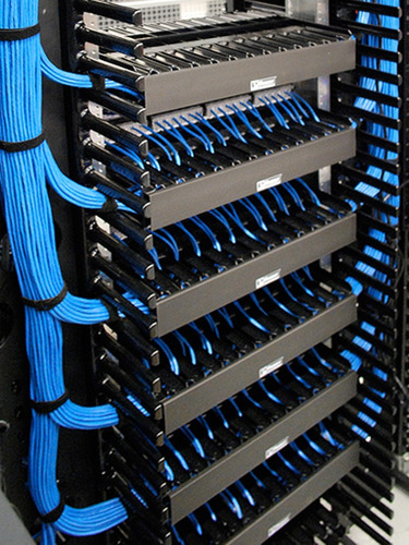 Organizador De Cable 1u C/tapa Rack Mural Tracolor Negro