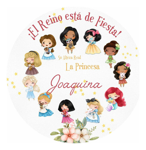 Banner Princesas Y Mascotas Castillos Disney 1