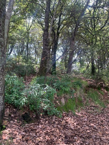 Terreno En Av.desierto De Los Leones