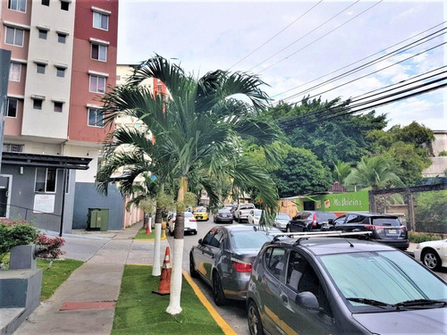 Imagen 9 de 14 de Venta De Apartamento De 75 M2 En Ph Mirador De Siena 21-9751