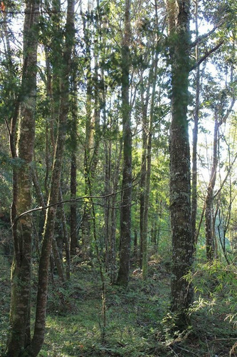 Imagen 18 de 30 de Agrícola En Venta En Puerto Varas
