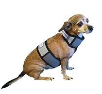 Comprar Coolerdog Dog Enfriamiento Chaleco Y Collar De Enfriamiento