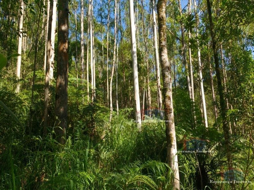 Ref.: 5467 - Area Em Pilar Do Sul Para Venda - V5467
