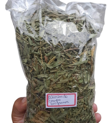 Chá De Alecrim Do Campo Só Folhas 100gr (não Tem Madeira)
