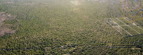 Imagen 11 de 12 de Terrenos En Venta En Santa Clara Yucatan