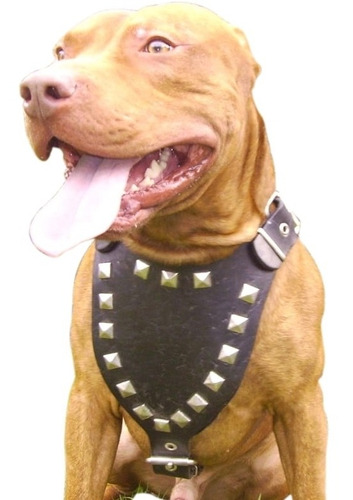 Pretal Pechera Cuero Pit Bull