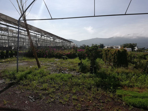Terreno Urbano En Pedregal De Las Fuentes, Jiutepec, Morelos - Ari-607-tu