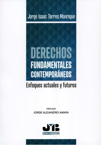 Derechos Fundamentales Contemporaneos Enfoques Actuales Y Futuros, De Torres Manrique, Jorge Isaac. Editorial J.m Bosch, Tapa Blanda, Edición 1 En Español, 2021