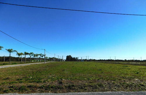 Venta Lote En El Lazo En Exaltacion De La Cruz