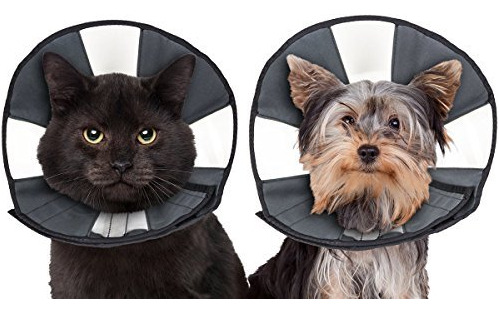 Zenpet Pet Recovery Cone E-collar Para Perros Y Gatos Y1dgg