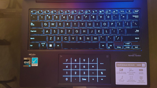 Notebook Asus ZenBook Q420VA-EVO.I7512 gris táctil 14.5", Intel Core i7 13700H 16GB de RAM 512GB SSD, Intel Iris Xe Graphics 120 Hz 2880x1800px Windows 11 Home