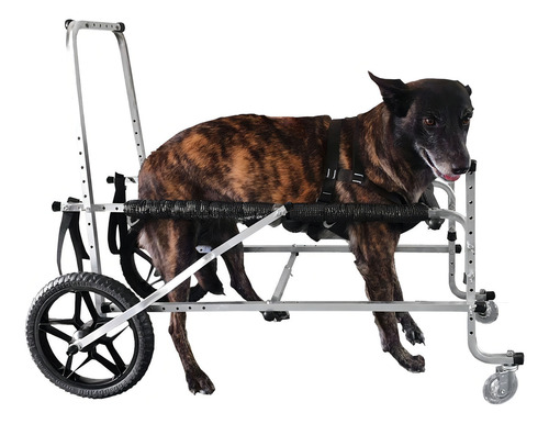 Cadeira Andador De 4 Rodas Para Cachorro Pet Grande Porte N5
