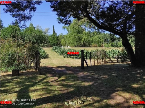 Imagen 10 de 13 de Quinta De 3 Ambientes Y 2 Dormitorios (1954)