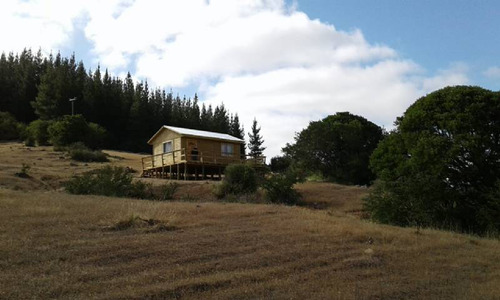 Nirivilo - Camino La Patagua