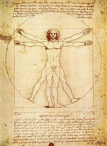 Palacelearning Vitruvian Man De Leonardo Da Vinci Poster - P