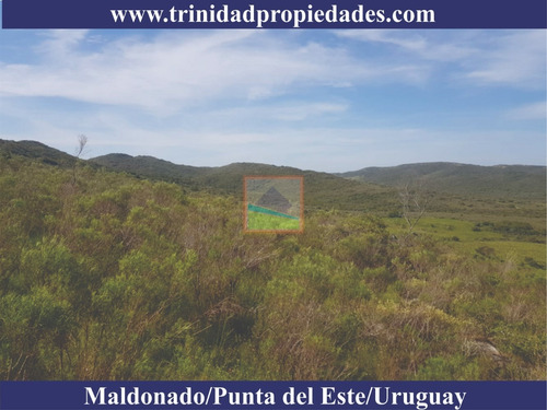 Imagen 8 de 10 de 86has Campo Turístico En Los Caracoles