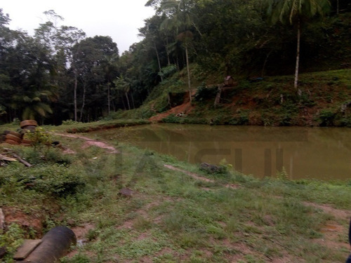 Imagem 10 de 30 de Sítio À Venda Em Juquitiba! - 172 - 34443922
