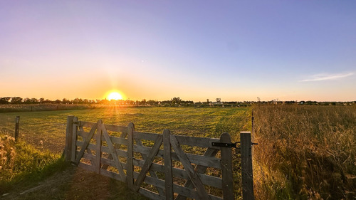 Lote A La Laguna, Laguna De Las Pampas