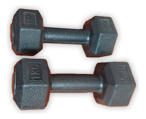 Expert Fitness Set Mancuernas 1kg Como Nuevas Negro (Usado)