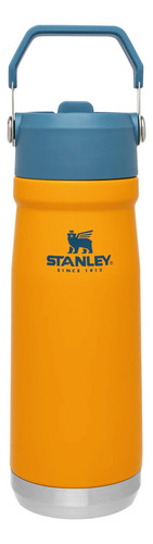 Botella Caramañola Termica Stanley Flip Straw 650 Ml Amv