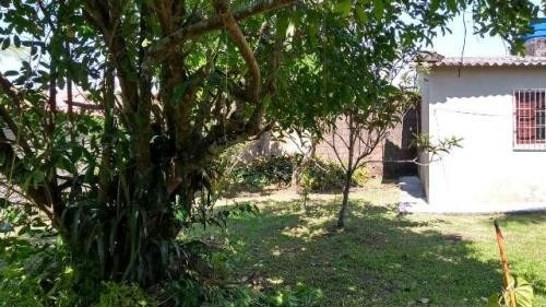 Imagem 8 de 14 de Casa C/ Edícula E Árvores Frutíferas Itanhaém Litoral Sul Sp