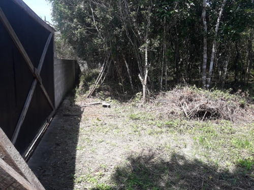 Imagem 10 de 23 de Chacara - 681 - 33104690