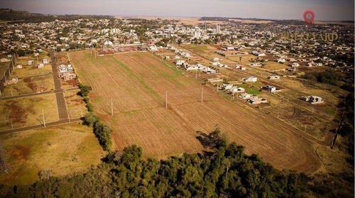 Imagem 2 de 3 de Chácara À Venda, 6000 M² Por R$ 2.500.000,00 - Centro - São Miguel Do Iguaçu/pr - Ch0017