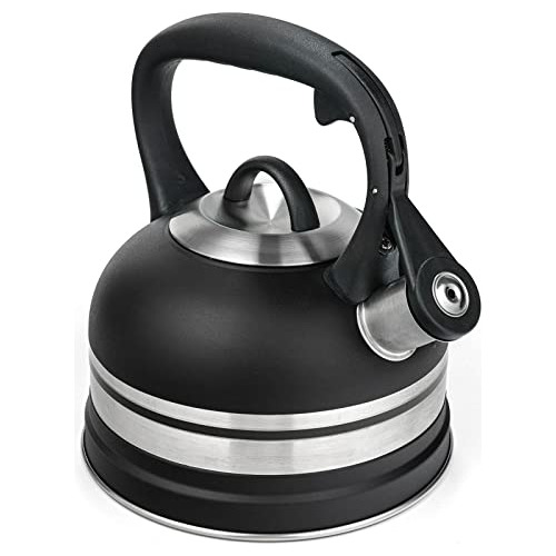 Tetera Silbante De Acero Inoxidable Moderna 2.5 L Negro