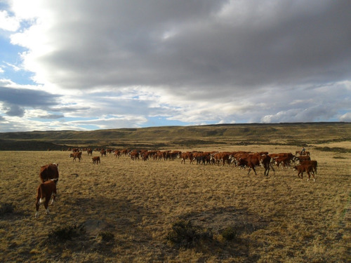 Imagen 7 de 10 de Campo En Santa Cruz Argentina 35000has Ganadero Agricola Tosquera
