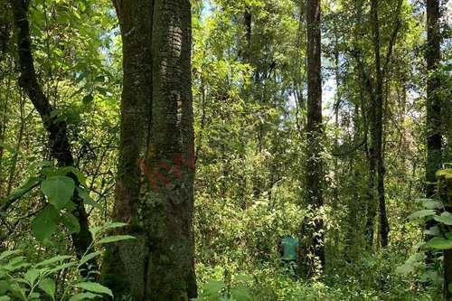 Imagen 17 de 22 de Venta De Terreno En Valle De Bravo Con Desarrollo De Rancho