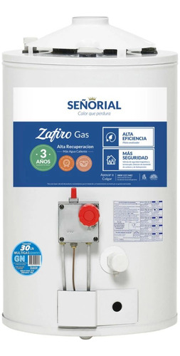 Termotanque Señorial De Alta Recuperación A Gas 30 Lts.