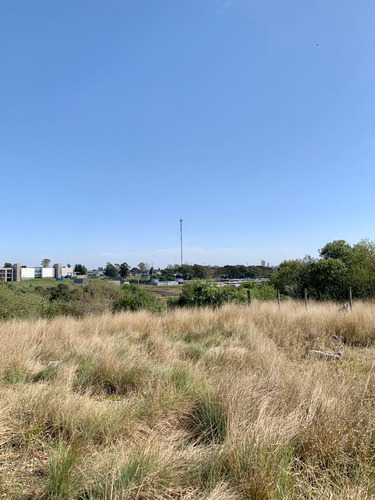 En Venta Chacra En Salto. Ruta 3 ¡atención Inversores Y Empresarios!