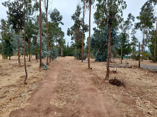 Parcela De Agrado Con Casa