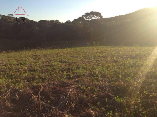Imagem 6 de 8 de Terreno À Venda, 20000 M² Por R$ 450.000,00 - Areia Branca - Mandirituba/pr - Te0139