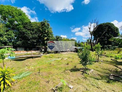 Imagem 17 de 23 de Chácara - 3 Quartos - 3.600m² - Tapanã, Belém/pa - Rmx_7971_460022