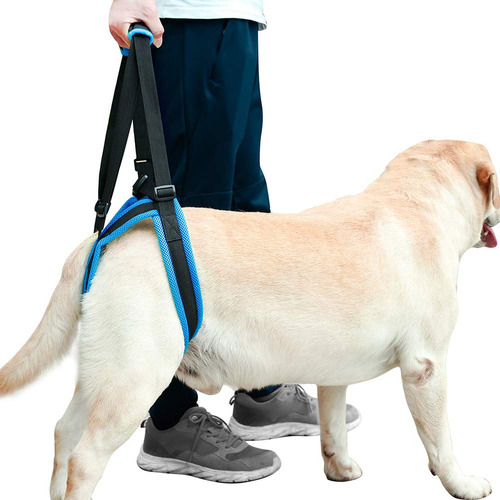 Pet Dog Support Harness Rear Lifting Harness Veterinari...