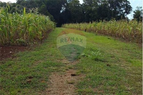 Imagen 8 de 14 de Vendo Casa Quinta En Carmen Del Paraná: 12 Hectáreas Y Media