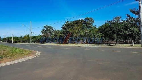 Imagem 11 de 20 de Terreno À Venda Em Jardim Primavera - Te271541