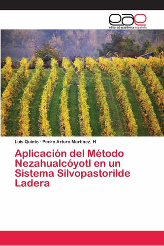 Libro Aplicación Del Método Nezahualcóyotl En Un Sistem Lcm5