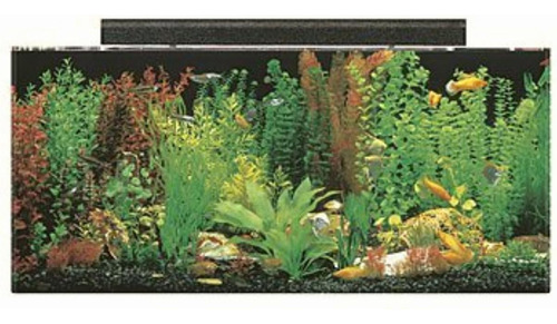 Seaclear 40 Gal Acrylic Aquarium Combo Set, Negro, 36 By 15