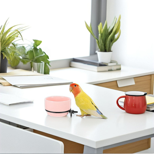 Comedero De Comida Y Agua Para Loros, Cuenco Extraíble De Ce
