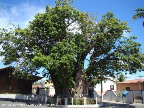 Imagem 3 de 10 de Terreno Para Venda Em Nísia Floresta, Centro - Kt 0125 G_2-1481746