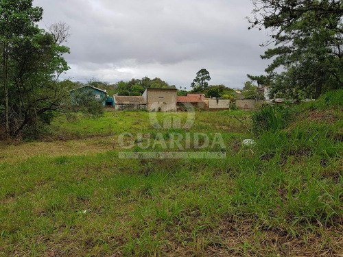 Imagem 3 de 10 de Terreno - Belem Novo - Ref: 152222 - V-152222