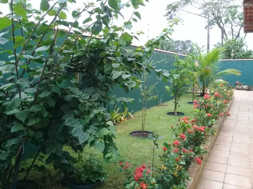 Casa Térrea C/ 3 Quartos, 2 Banheiros - São João Batista Ll Peruíbe/sp