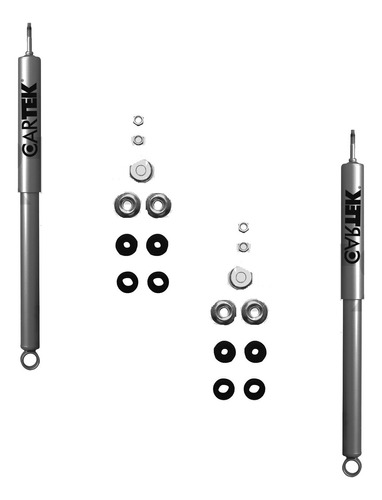 2 Amortiguadores Traseros Rav4 2000-2001-2002-2003 Cartek