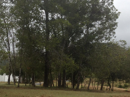 Terreno En Venta, Valle De Cadereyta, Cadereyta, Nuevo León