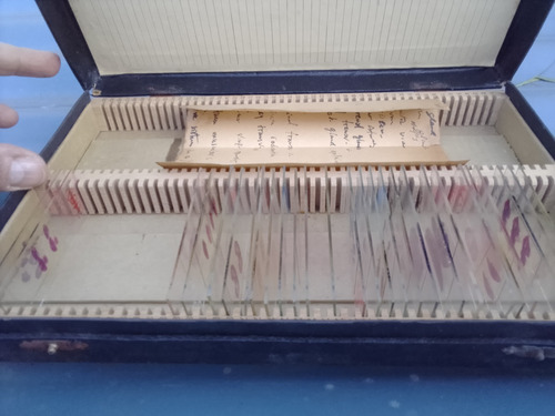 Antigua Colección De Preparados De Microscopio Histología (Usado)